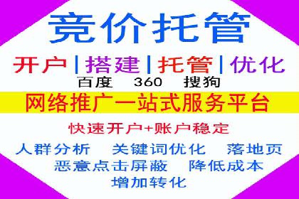 百度竞价代理的客户案例：如何实现ROI最大化